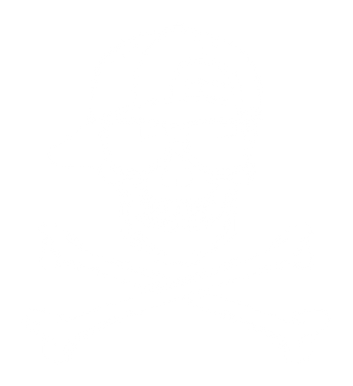 Nauti Boy LLC